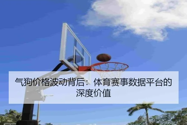 气狗价格波动背后：体育赛事数据平台的深度价值