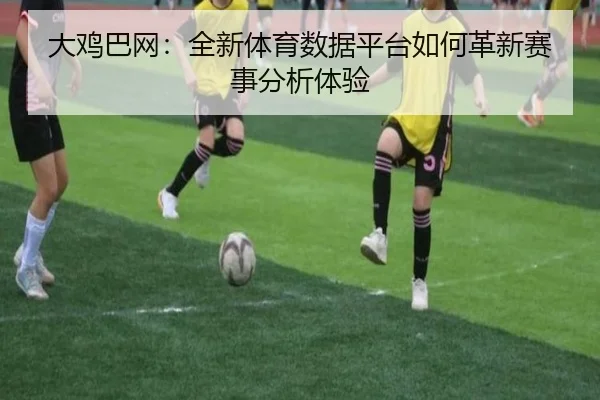 大鸡巴网：全新体育数据平台如何革新赛事分析体验