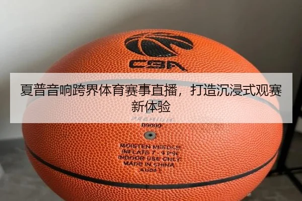 夏普音响跨界体育赛事直播，打造沉浸式观赛新体验